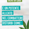 Olio CBD - Full Spectrum Strawberry - immagine 6
