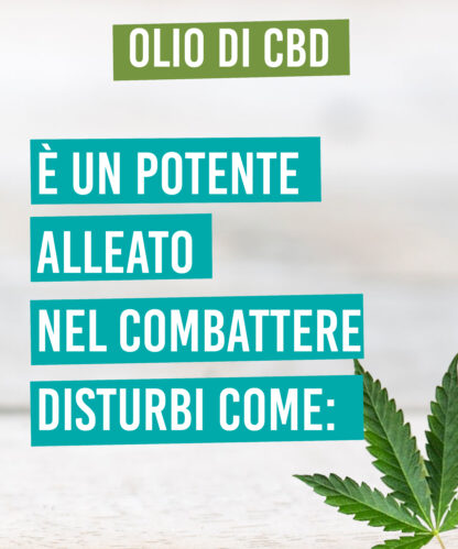 Olio CBD - THC FREE - immagine 6
