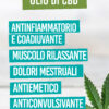 Olio CBD - Full Spectrum Strawberry - immagine 8