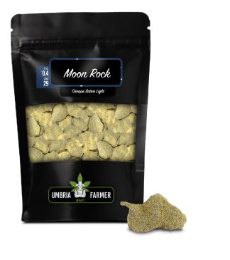 Moon Rock