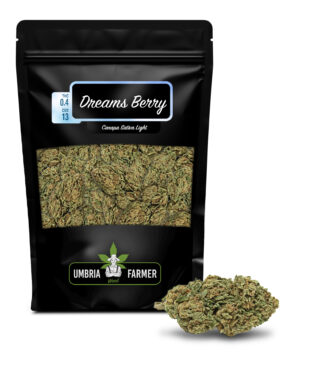 Dreams Berry