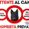 TARGA ATTENTI AL CANE - AKITA AMERICANO
