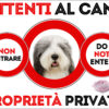 TARGA ATTENTI AL CANE - BEARDER COLLIE
