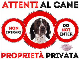 TARGA ATTENTI AL CANE - BRACCO FRANCESE PIRENEI