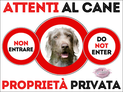 TARGA ATTENTI AL CANE - BRACCO SLOVACCO A PELO DURO