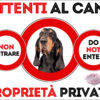 TARGA ATTENTI AL CANE - BLACK AND TAN COONHOUND