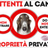 TARGA ATTENTI AL CANE - BORZOI