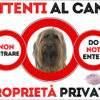 TARGA ATTENTI AL CANE - CANE DA PASTORE DI BRIE