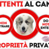 TARGA ATTENTI AL CANE - CANE DA MONTAGNA DEI PIRENEI