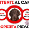 TARGA ATTENTI AL CANE - FLAT COATED RETRIVER