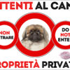 TARGA ATTENTI AL CANE - PECHINESE