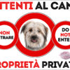 TARGA ATTENTI AL CANE - PASTORE DEI PIRENEI