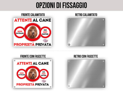 TARGA ATTENTI AL CANE - BARBONE GRANDE MOLE ALBICOCCA - immagine 2