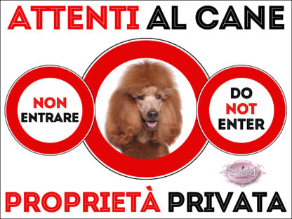 TARGA ATTENTI AL CANE - BARBONE GRANDE MOLE ALBICOCCA