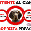 TARGA ATTENTI AL CANE - BRACCO DI BURGOS