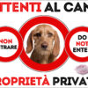 TARGA ATTENTI AL CANE - BASSET FAUVE DE BRETAGNE