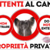 TARGA ATTENTI AL CANE - Chinese Crested Dog