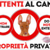 TARGA ATTENTI AL CANE - CIRNECO DELL'ETNA