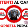 TARGA ATTENTI AL CANE - GONCZY POLSKI