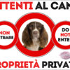 TARGA ATTENTI AL CANE - SPRING SPANIEL 2